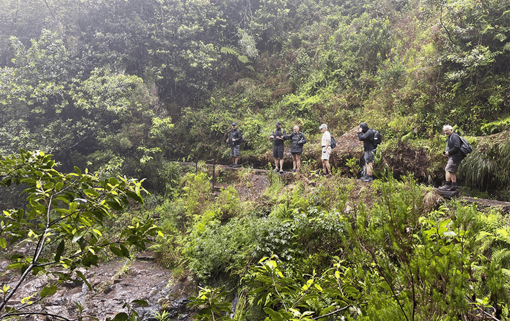 Hiking the Levado de Furado trail in Madeira